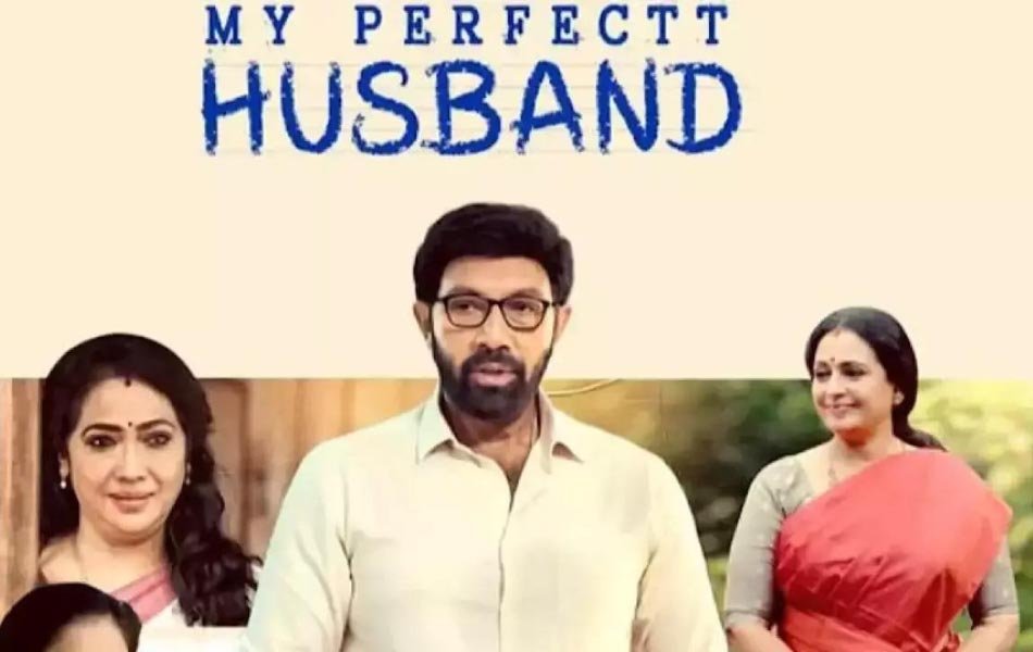 My Perfectt Husband Tamil TV Series OTT Release Date