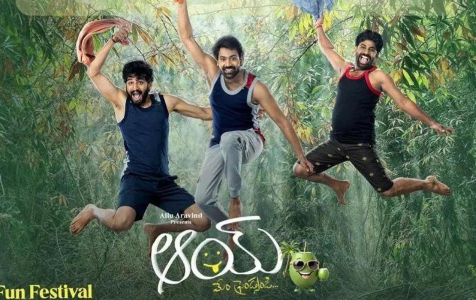 Aay Telugu Movie on Netflix