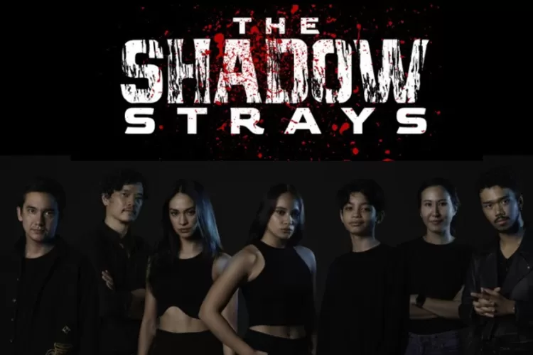 The Shadow Strays Indonesian Movie on Netflix