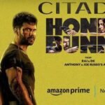 Citadel Honey Bunny Indian TV Series Review